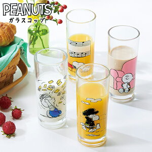 t@~[LN^[ KXRbv Xk[s[ { OX Jbv snoopy peanuts  }{ LN^[ ObY 킢 G lC Mtg j v[g v`Mtg Cxg p[eB