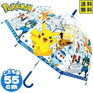 q rj[P 55cm |PbgX^[ rbOX^[ { |P qp ^b` P  q TCY 55 j̎q ̎q ʉ ʊw w LN^[ Mtg v[g } (