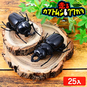  JugVNK^ ܓ 25 { iiߋ q v[g qǂ qǂ Ղ   ql` ߋ I`   j̎q }{ ct čՂ w ii