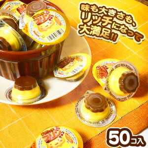 fRb` v`R 50 { ʉَq َq `R[g `R  v }{ q ii Ղ   ̑ zz čՂ ct ۈ牀 ≮ }[24H31]