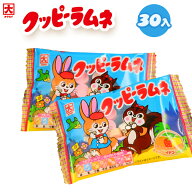 カクダイ製菓 クッピーラムネ 30個装入 { 駄菓子 お菓子 ラムネ クッピー 人気 }{ 大量 子供会 景品 お祭…