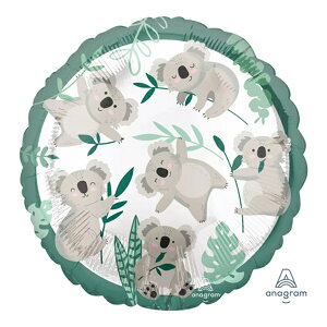 y1̔z 17C` Eh RA ANG42554{D o[  IV 킢 JCC POP D o[  Aj}} {Cxg p[eB[   a o[Xf[ j