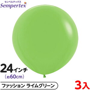 3 ZyebNX Eh ی^ 24C` (60cm) PF t@bV CO[ { D o[ SD n }{ Cxg p[eB[  a o[Xf[  EFfBO 