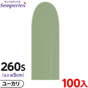 100{ ZyebNX }WbNo[ c 260S PF t@bV [J { D o[ SD n }{ Cxg p[eB[  a o[Xf[  EFfBO Tv