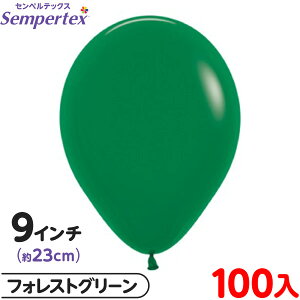 100 ZyebNX Eh ی^ 9C` (23cm) PF t@bV tHXgO[ { D o[ SD n Cxg p[eB[  a o[Xf[  EFfB
