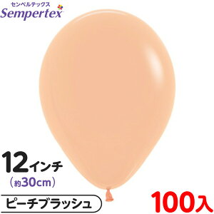 100 ZyebNX Eh ی^ 12C` (30cm) PF t@bV s[`ubV { D o[ SD n Cxg p[eB[  a o[Xf[  EFfB