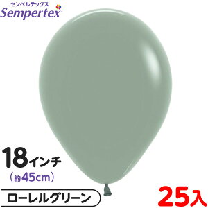 25 ZyebNX Eh ی^ 18C` (45cm) PF pXe_XN [O[ { D o[ SD n Cxg p[eB[  a o[Xf[  EFfB