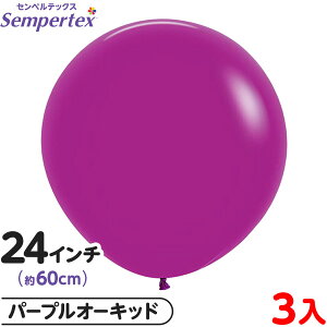 3 ZyebNX Eh ی^ 24C` (60cm) PF t@bV p[vI[Lbh { D o[ SD n }{ Cxg p[eB[  a o[Xf[  EFfB