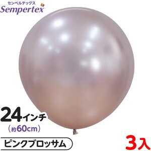 3 ZyebNX Eh ی^ 24C` (60cm) PF VN sNubT { D o[ SD n }{ Cxg p[eB[  a o[Xf[  EFfBO Tv