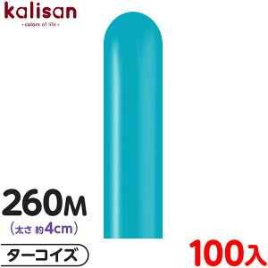 100{ JT }WbNo[ c^ 260M PF X^_[h ^[RCY { D o[ SD n Cxg p[eB[   a o[Xf[  EFfBO LO v