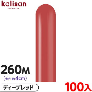 100{ JT }WbNo[ c^ 260M PF X^_[h fB[vbh { D o[ SD n Cxg p[eB[   a o[Xf[  EFfBO LO