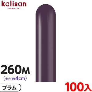 100{ JT }WbNo[ c^ 260M PF X^_[h v { D o[ SD n Cxg p[eB[   a o[Xf[  EFfBO LO v[