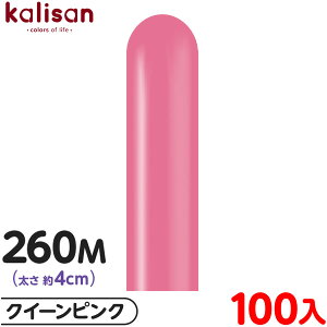100{ JT }WbNo[ c^ 260M PF X^_[h NC[sN { D o[ SD n Cxg p[eB[   a o[Xf[  EFfBO LO