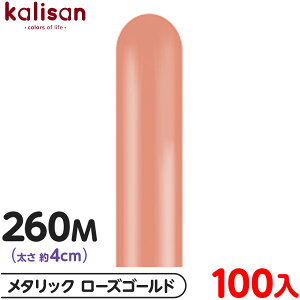 100{ JT }WbNo[ c^ 260M PF ^bN [YS[h { D o[ SD n Cxg p[eB[   a o[Xf[  EFfBO LO 