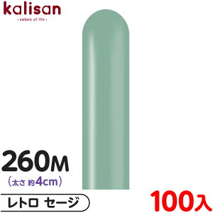 100{ JT }WbNo[ c^ 260M PF g Z[W { D o[ SD n Cxg p[eB[   a o[Xf[  EFfBO LO v[g 
