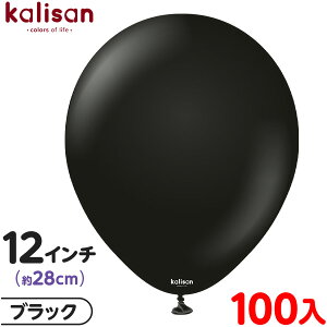100 JT Eh ی^ 12C` (28cm) PF X^_[h ubN { D o[ SD n Cxg p[eB[   a o[Xf[  EFfBO LO 