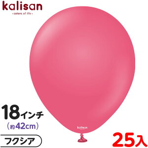 25 JT Eh ی^ 18C` (42cm) PF X^_[h tNVA { D o[ SD n Cxg p[eB[   a o[Xf[  EFfBO LO v