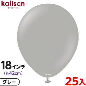 25 JT Eh ی^ 18C` (42cm) PF X^_[h O[ { D o[ SD n Cxg p[eB[   a o[Xf[  EFfBO LO v