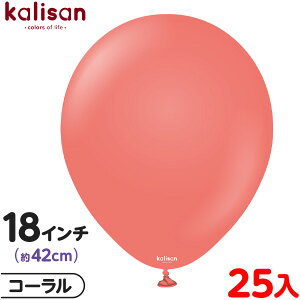25 JT Eh ی^ 18C` (42cm) PF X^_[h R[ { D o[ SD n Cxg p[eB[   a o[Xf[  EFfBO LO v