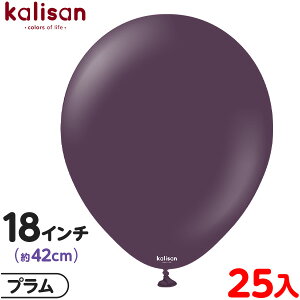 25 JT Eh ی^ 18C` (42cm) PF X^_[h v { D o[ SD n Cxg p[eB[   a o[Xf[  EFfBO LO v