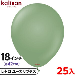 25 JT Eh ی^ 18C` (42cm) PF g [Jv^X { D o[ SD n Cxg p[eB[   a o[Xf[  EFfBO LO v