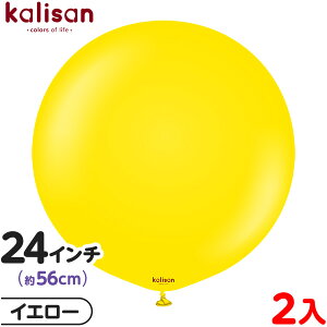 2 JT Eh ی^ 24C` (56cm) PF X^_[h CG[ { D o[ SD n Cxg p[eB[   a o[Xf[  EFfBO LO v