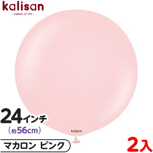 2 JT Eh ی^ 24C` (56cm) PF }J sN { D o[ SD n Cxg p[eB[   a o[Xf[  EFfBO LO v[g 