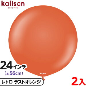 2 JT Eh ی^ 24C` (56cm) PF g XgIW { D o[ SD n Cxg p[eB[   a o[Xf[  EFfBO LO v