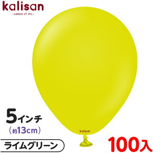 100 JT Eh ی^ 5C` (13cm) PF X^_[h CO[ { D o[ SD n Cxg p[eB[   a o[Xf[  EFfBO L