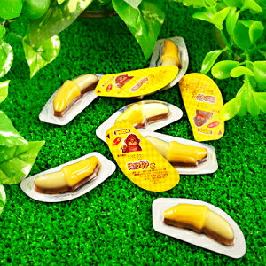 肢t `Roii 80 { ʉَq َq `R[g `R  }{ q ii Ղ   ̑ zz čՂ ct ۈ牀 ≮ }[24J12] {z敪D}