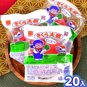 yܖ2025N1031z Hi 卪 45g(20) { ʉَq َq q ii Ղ   }{   َq }[25H26]