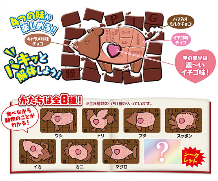 楽天市場 バンダイ キャラパキ 解体図鑑 駄菓子 チョコ チョコレート チョコ菓子 知育 知育菓子 子供会 景品 お祭り くじ引き 縁日 お菓子 個装 個包装 配布 22b05 フェスティバルプラザ