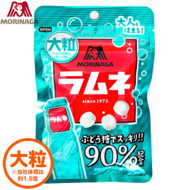 森永 大粒ラムネ 41g { 駄菓子 お菓子 ラムネ 大粒 ぶどう糖 }{ 子供会 景品 お祭り くじ引き 縁日 }[24E03]