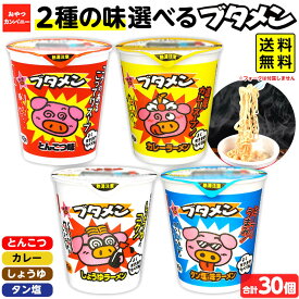 おやつカンパニー ブタメン 2種類セット 合計 30個入 { 駄菓子 お菓子 ベビースターラーメン ベビースター ぶためん カップラーメン カップ麺 }{ 子供会 景品 お祭り 縁日 問屋 }[24B14] 送料無料(※沖縄・離島発送不可)