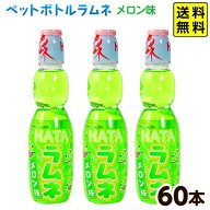 ハタ鉱泉 ペットボトルラムネ ハタ PET ペットラムネ メロン味 250ml 60本入 { 駄菓子 お菓子 業務用 ペ…