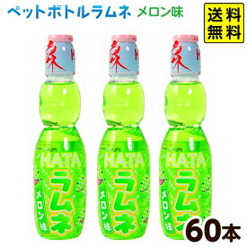 ハタ鉱泉 ペットボトルラムネ ハタ PET ペットラムネ メロン味 250ml 60本入 { 駄菓子 お菓子 業務用 ペットボトル ラムネ ビンラムネ メロン }{ お祭り 縁日 子供会 問屋 夏祭り 炭酸 ドリンク ケース }[25G17][r3] 送料無料(※沖縄・離島発送不可)
