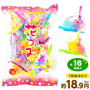 Ԃ [[ 185g(16) { ʉَq َq V [[ Jt t[c aَq egpbN   O[vt[c  l q ii lC q Ղ  Cx