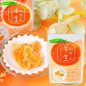 半生フルーツ みかん { 駄菓子 お菓子 みかん 蜜柑 半生 ドライフルーツ しっとり ジューシー }{ 駄菓子 お菓子 おかし おやつ 景品 お祭り 縁日 問屋 パーティー 茶菓子 ティータイム 紅茶 菓