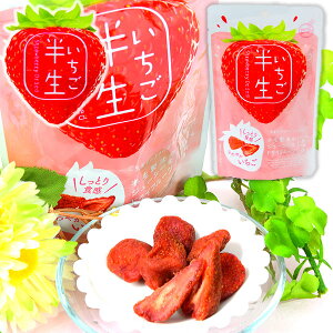 半生フルーツ いちご { 駄菓子 お菓子 イチゴ 苺 半生 ドライフルーツ しっとり ジューシー }{ 駄菓子 お菓子 おかし おやつ 景品 お祭り 縁日 問屋 パーティー 茶菓子 ティータイム 紅茶 菓子