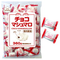 エイワ 大袋 チョコマシュマロ 360g(約80個装入) { 駄菓子 お菓子 マシュマロ チョコ 徳用 業務用 }{ お…