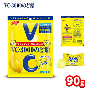 m[x VC-3000 ̂ǈ 90g { ʉَq َq ̂ǈ ̂ǂ  LfB   r^~C }{ َq  ~ }[25J24]