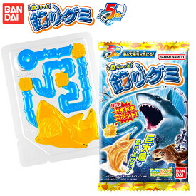 魚ギョッと 釣りグミ { 駄菓子 お菓子 グミ 釣り さかな 人気 }{ 子供会 景品 人気 子供 お祭り 縁日 イベント くじ引き 福引き おかし おやつ 配布 }[25C18]
