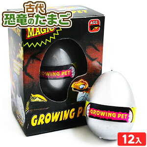 Ñ ̂܂  12 { iiߋ ct čՂ w ii }{ q v[g qǂ qǂ Ղ   ql` I`  }234[25E27]