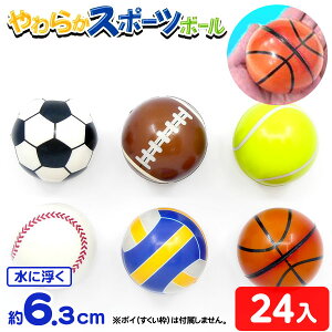 炩 X|[c{[ 24 { iiߋ ɕ  X[p[{[ X|[c ^ X|[c }{ ii  lߍ킹 Ղ čՂ  ≮ q q  