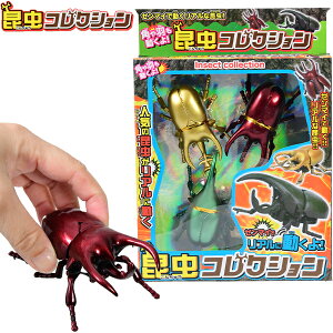 RNV { iiߋ    [}C JugV }{ ii  q Mtg v[g av[g ق Ղ čՂ  ≮ Î Cxg p[eB[ q