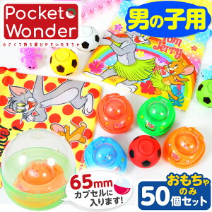 Pocket Wonder |Pbg_[ K` 65 낢남 50Zbg j̎q 50 { iiߋ K`K` JvZ Zbg }{ ii  lߍ킹 Ղ čՂ  q 