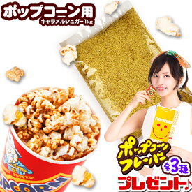 キャラメルシュガー 1kg { ポップコーン フレーバー ポップコーン豆 ポップコーン調味料 味付け ココナッツオイル キャラメルポップコーン ポップコーンメーカー ポップコーンマシーン }{ 子供会 お祭り 縁日 }[23C31][omkpop-AA-00005omk]