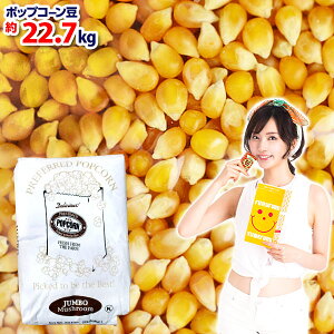 vt@[h W{ }bV[ |bvR[ 22D7kg { |bvR[ |bvR[ Ɩp }bV[^Cv }{ q Ղ  Cxg p[eB[ }[SAG] (