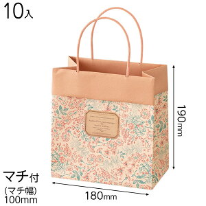 AQF-4PS AeB[Nt[y[p[obO-4S 10 { Mtg bsO MtgobO  ȒP  킢 }{ bsOpi  Mtg v[g yY Cxg p[eB[ }60