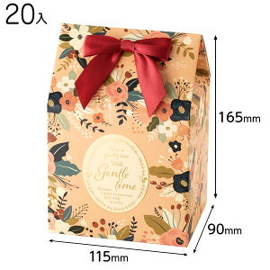 COG-GM Jg[K[fMtg{bNX-M 20 { Mtg bsO  Mtg{bNX ϔ ȒP  ̓ }{ bsOpi  Mtg v[g yY Cxg p[eB[ }